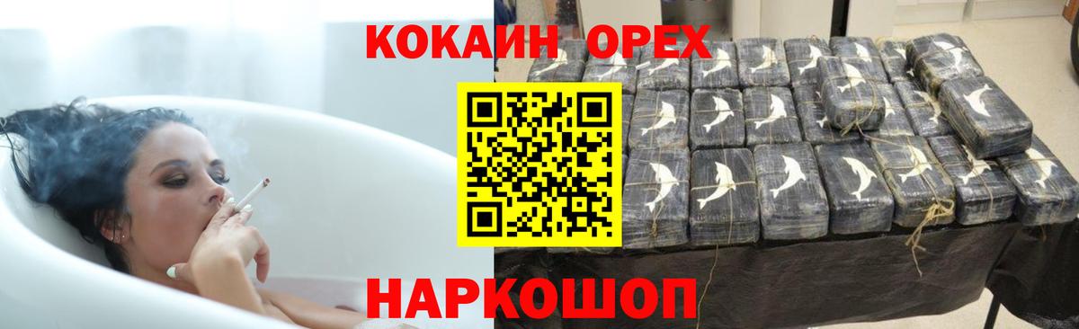 COCAIN Эквадор Саров