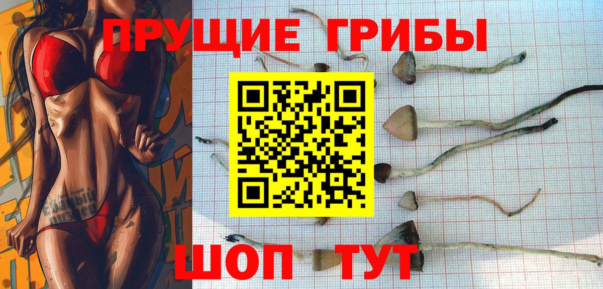 Псилоцибиновые грибы MAGIC MUSHROOMS  Вход с VPN  Галлюциногенные грибы Cubensis  Саров 