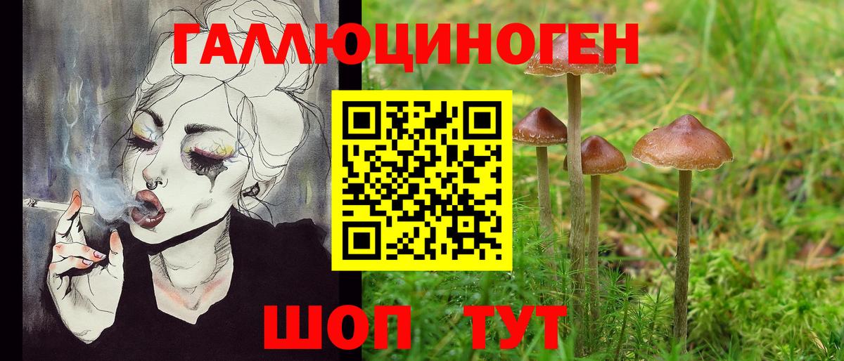 Галлюциногенные грибы прущие грибы Саров