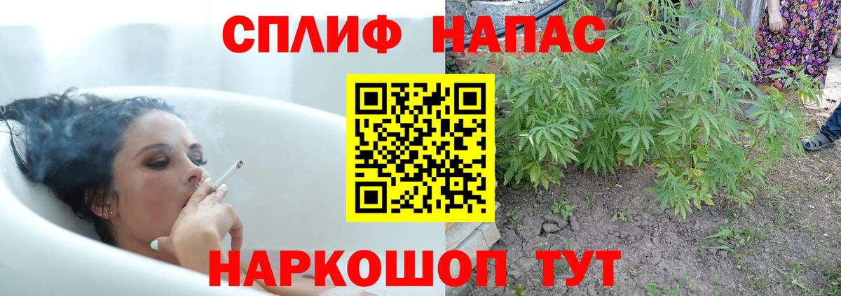 Канабис White Widow  Бошки марихуана семена  Вход с VPN  Саров 